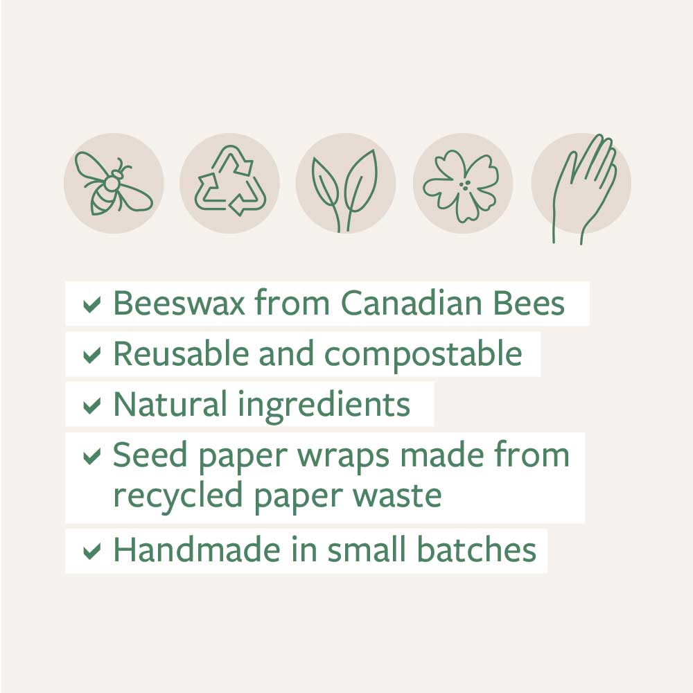 Large Beeswax Wraps 2