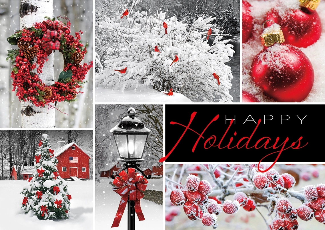 Seasonal Showcase Holiday Cards 2
