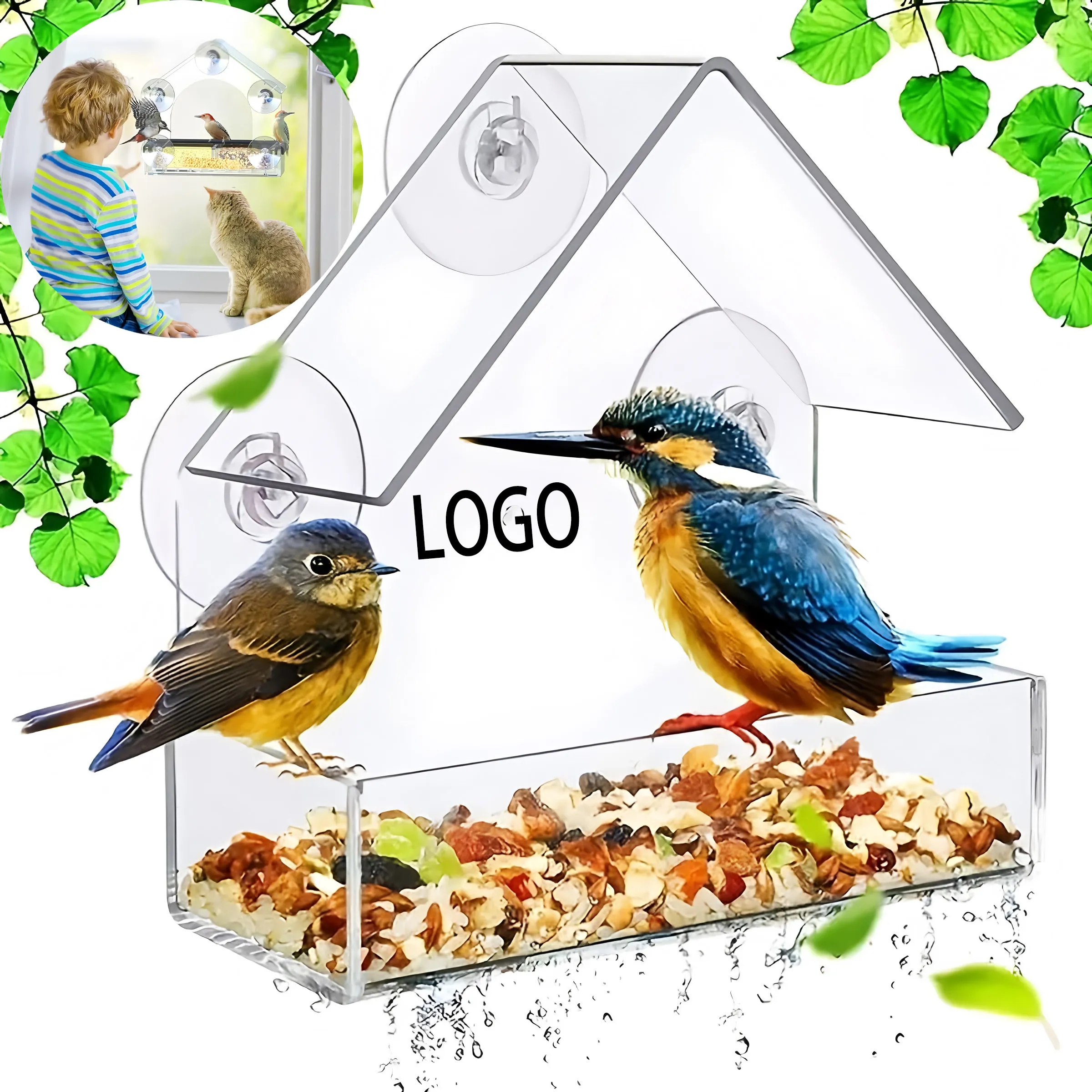 Window Bird Feeder with Suction Cups 6