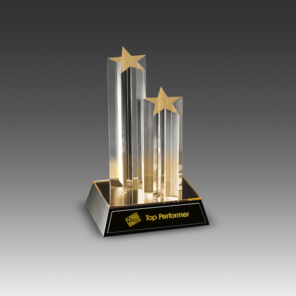 Double Star Column Award 2