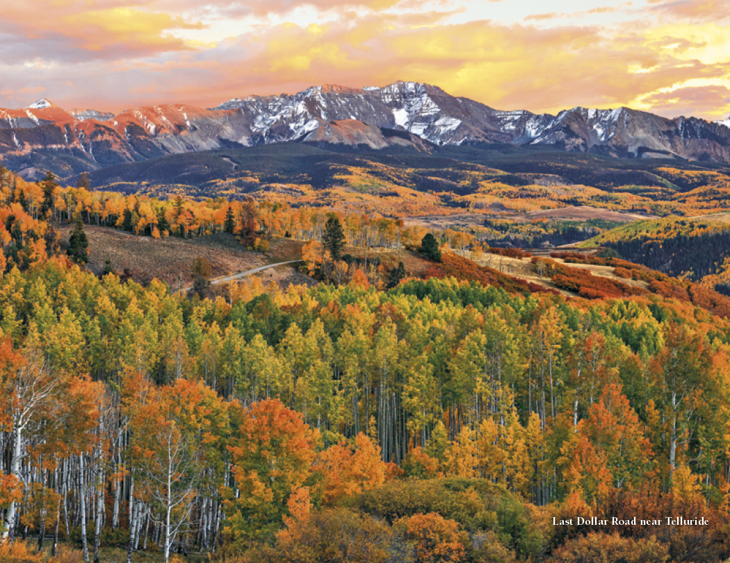 HotLine® Products Colorado Collection 49