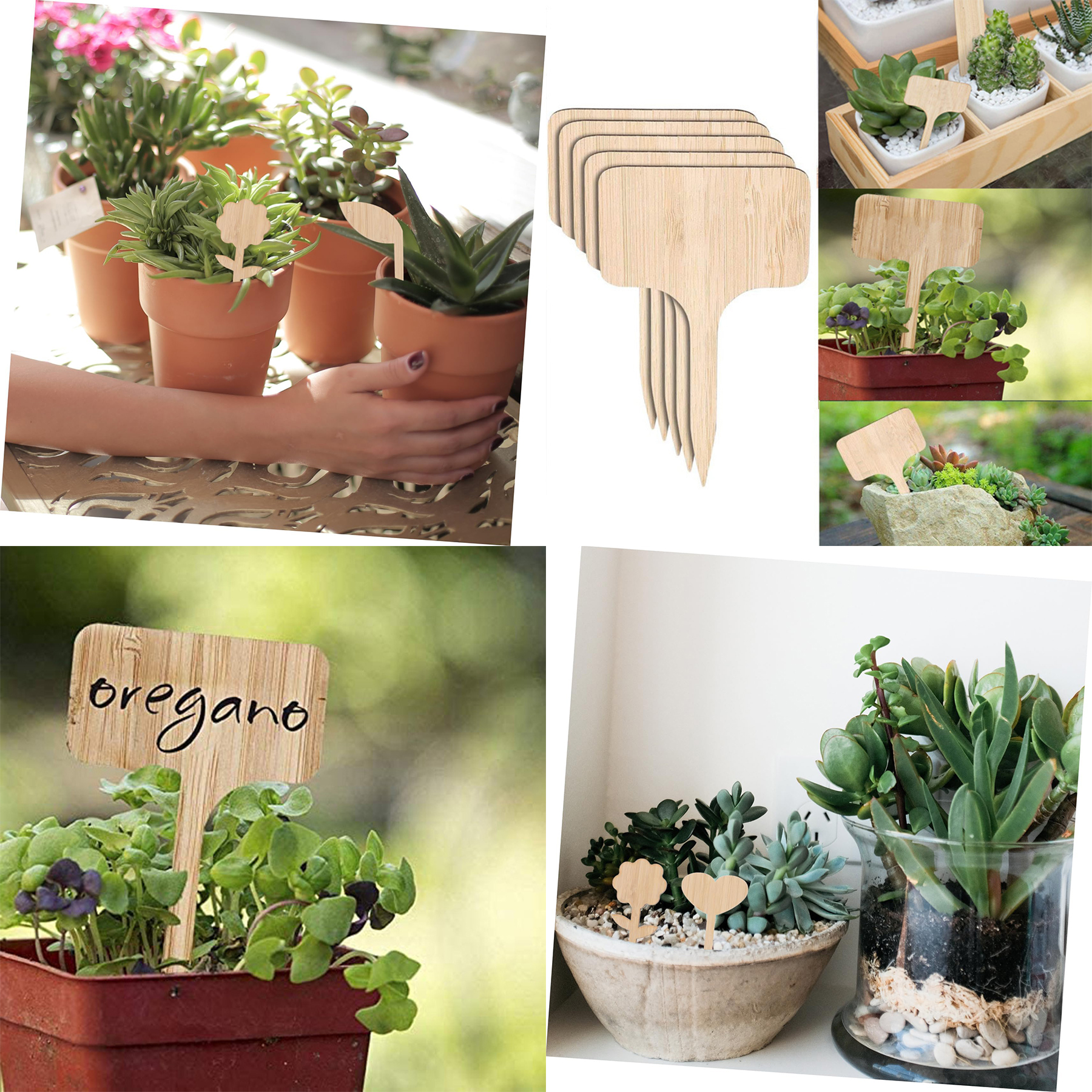 Bamboo Plate Garden Plant Markers 2