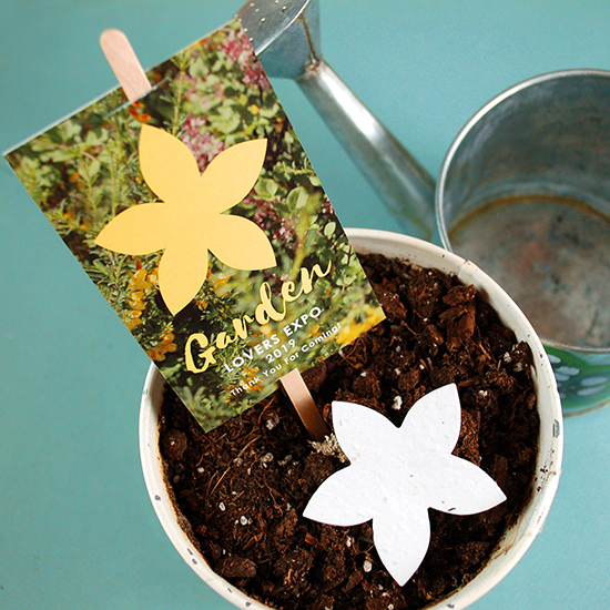 Double-Sided Wildflower Planting Sticks 10