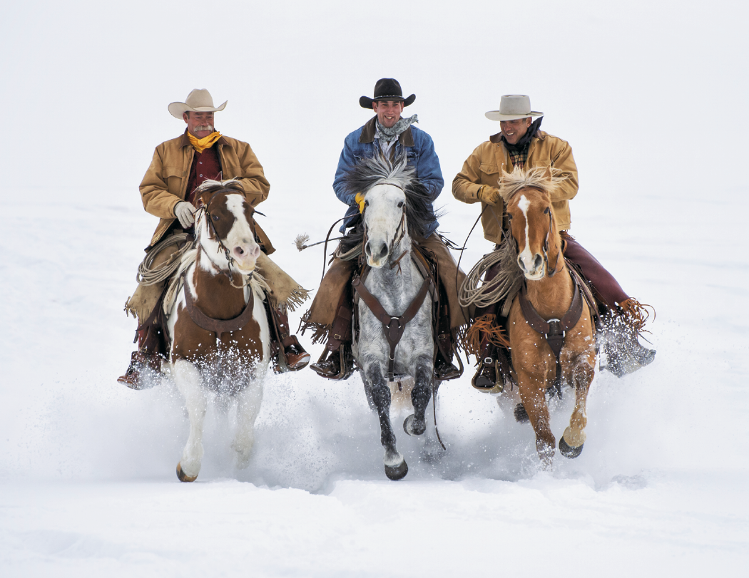 Triumph® Calendars Visions of the West Calendar 22