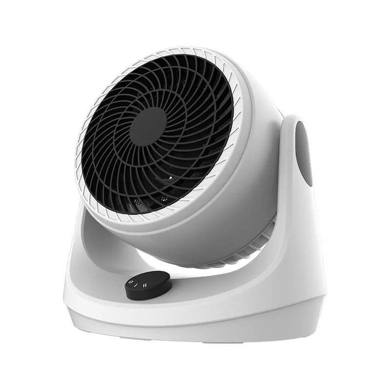 Various Styles Of Small Fans 7