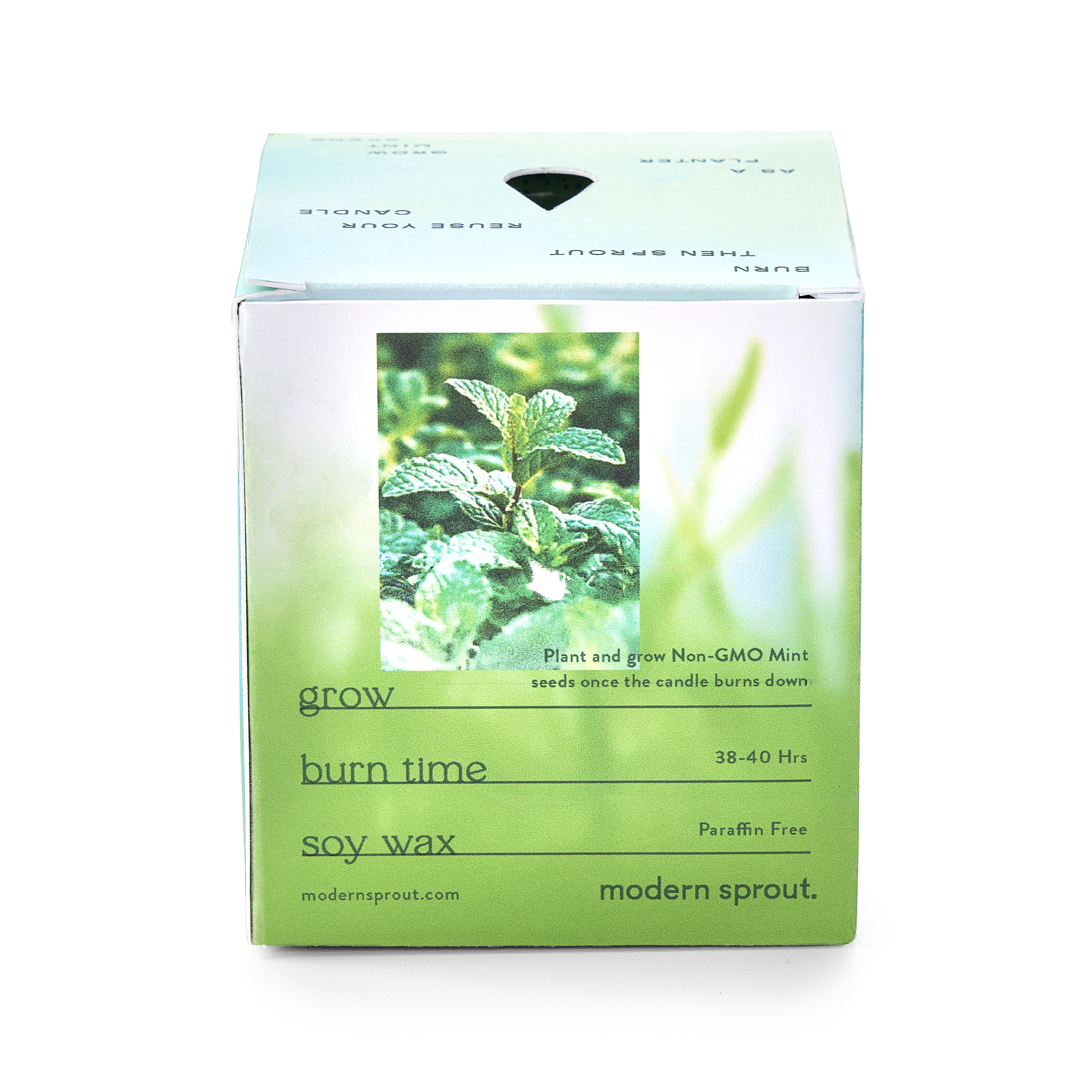 Modern Sprout® Garden Vibes Candle/Planter 34