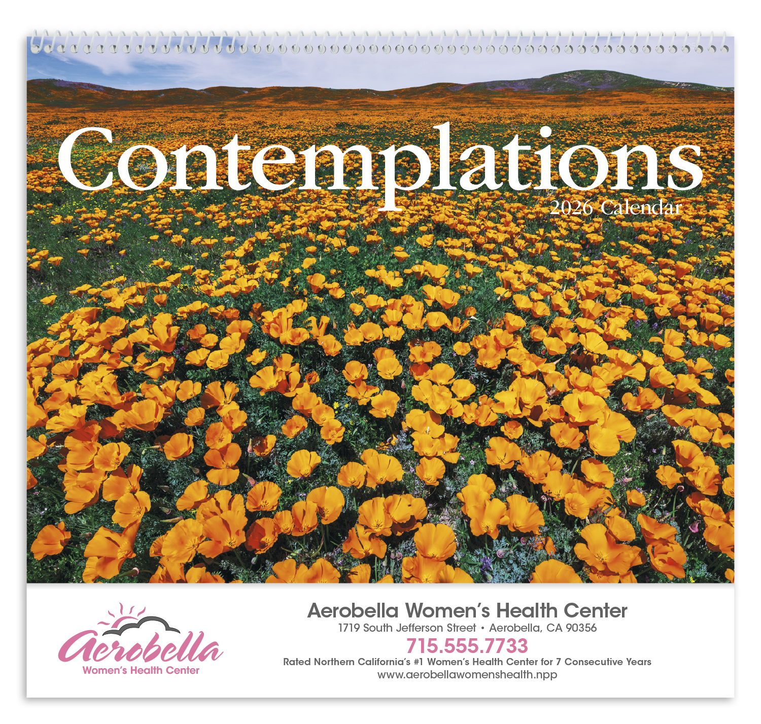 HotLine® Products Contemplations Appointment Calendar - Spiral 51