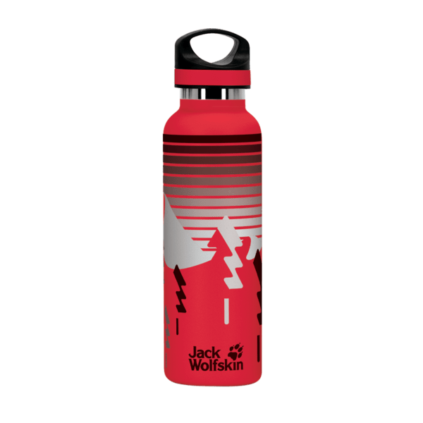 20 oz. Basecamp Tundra Bottle with Screw Top Lid 216