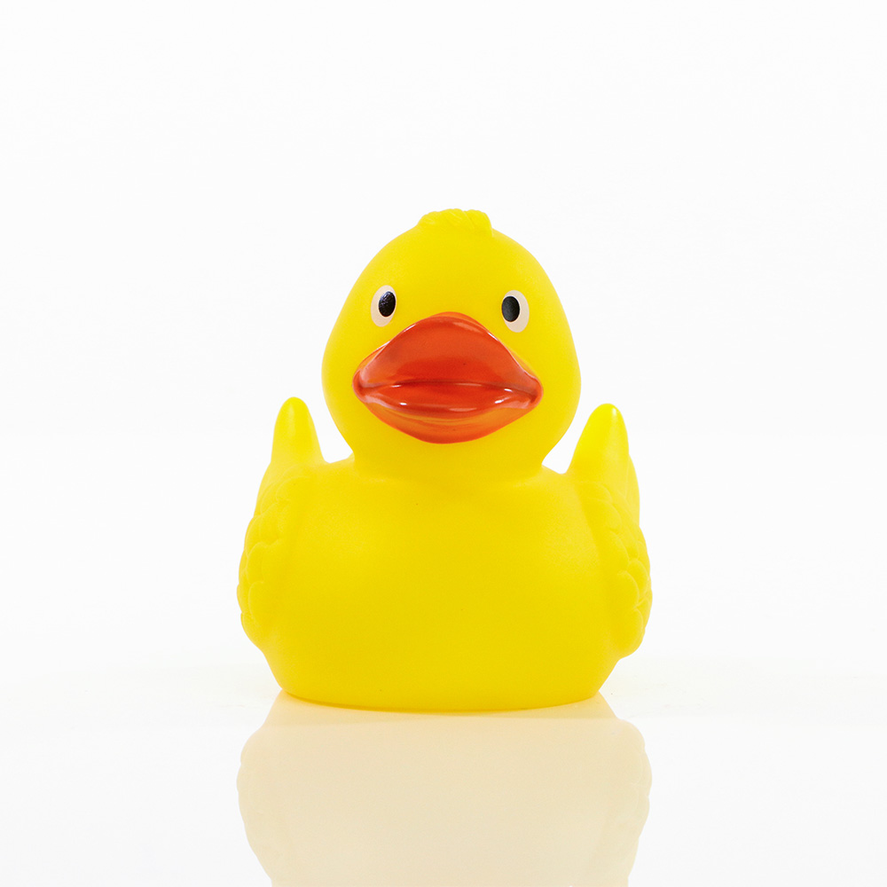 Duck With Wings 13