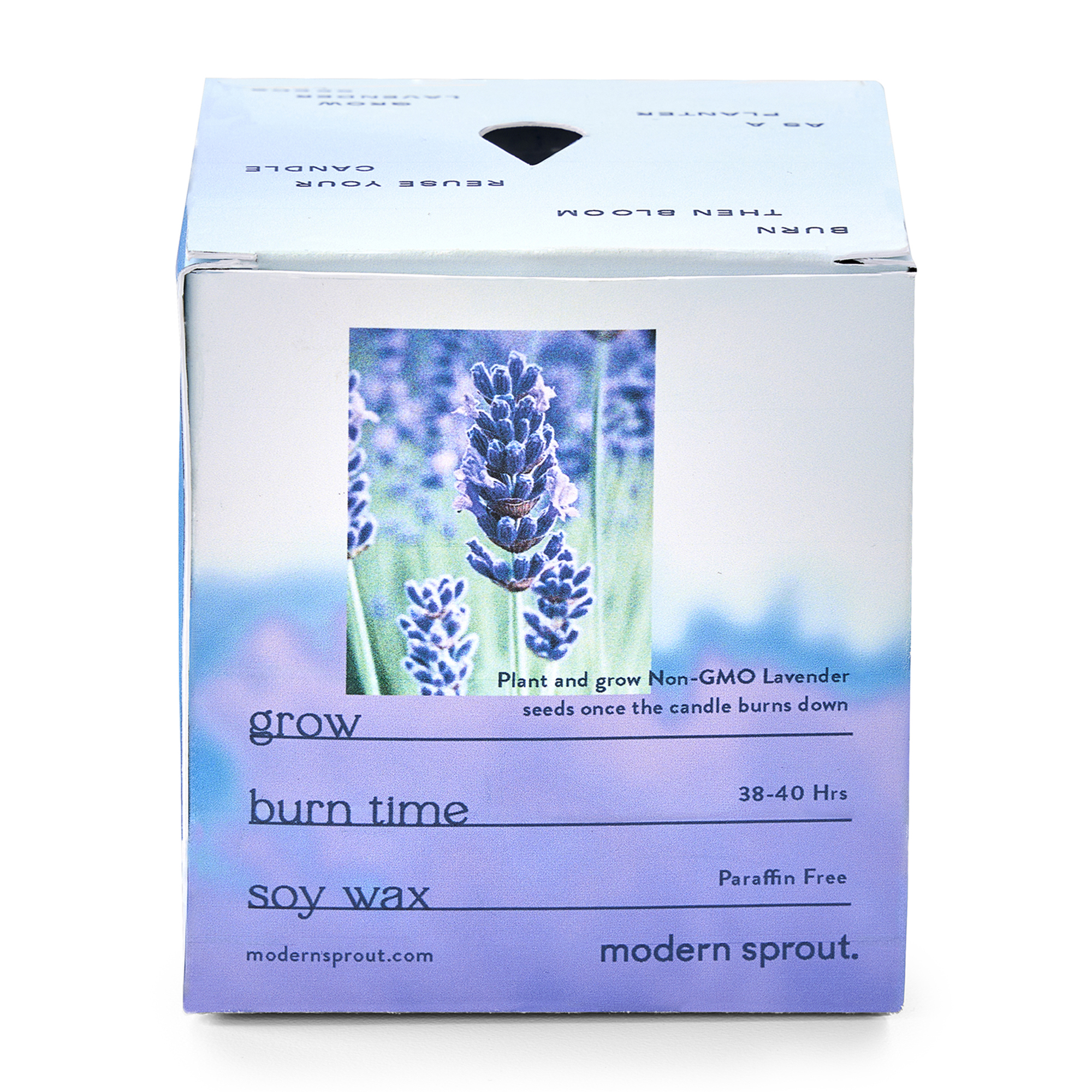 Modern Sprout® Garden Vibes Candle/Planter 11