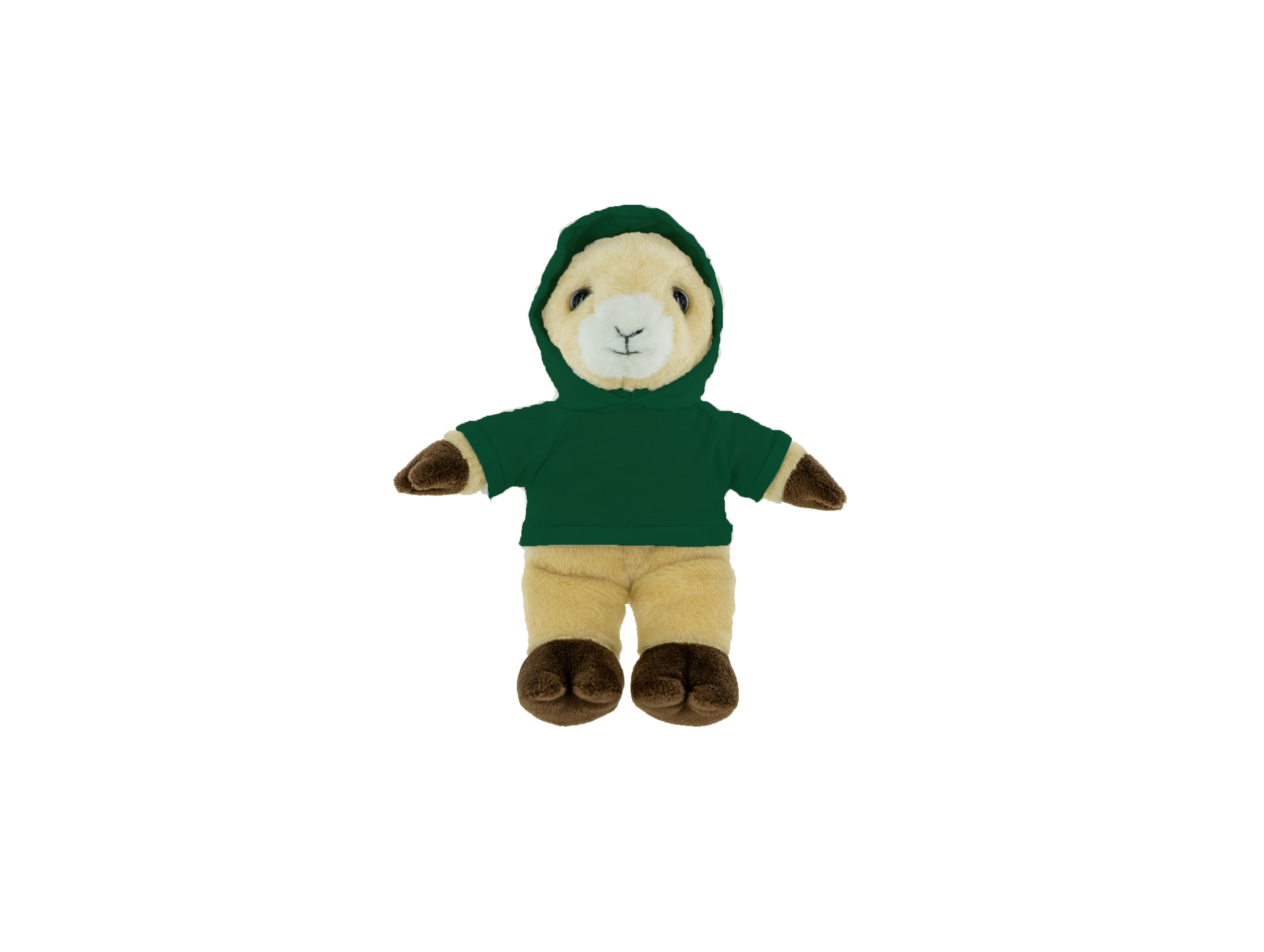 Plush Ram with Hoodie 12