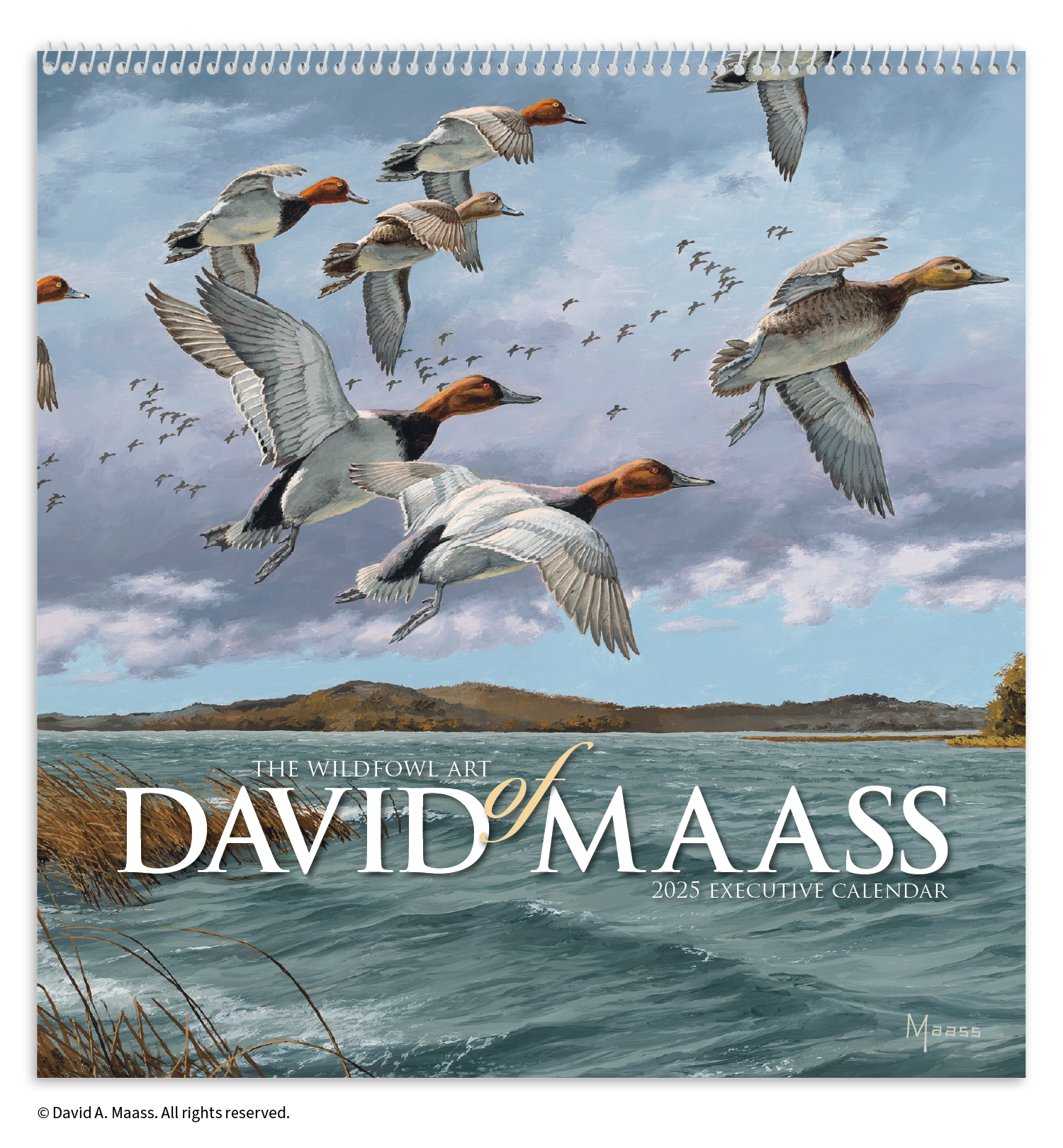 HotLine® Products David Maass Executive Calendar 3