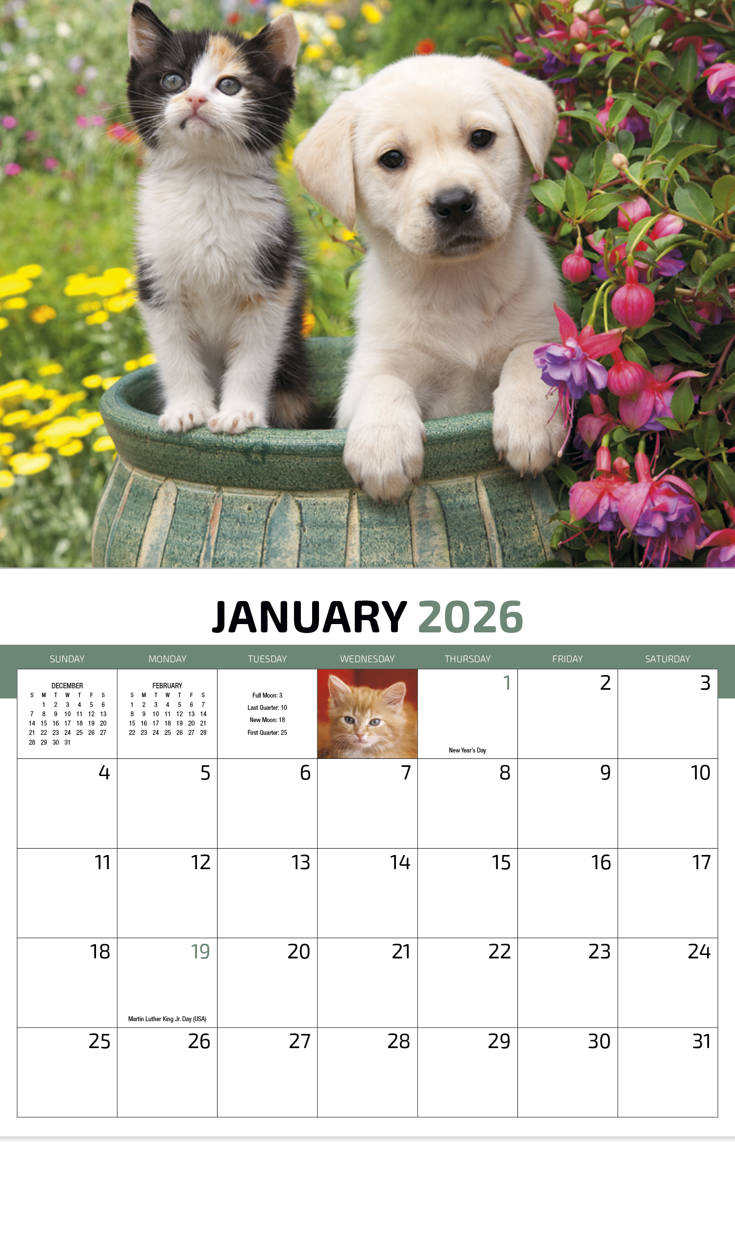 HotLine® Products Four Paws Appointment Calendar - Stapled 20