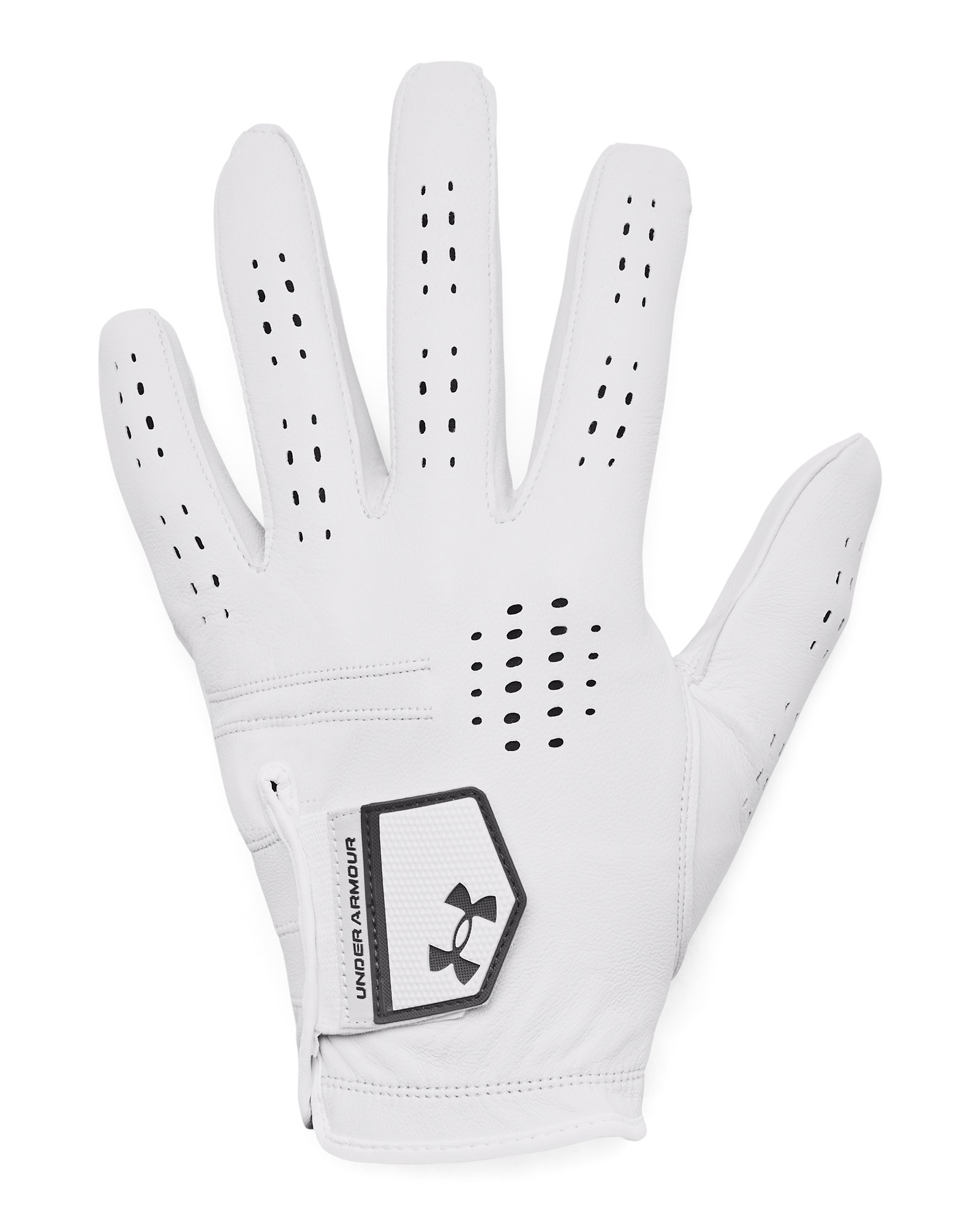 UA Drive Tour Men's Glove 2