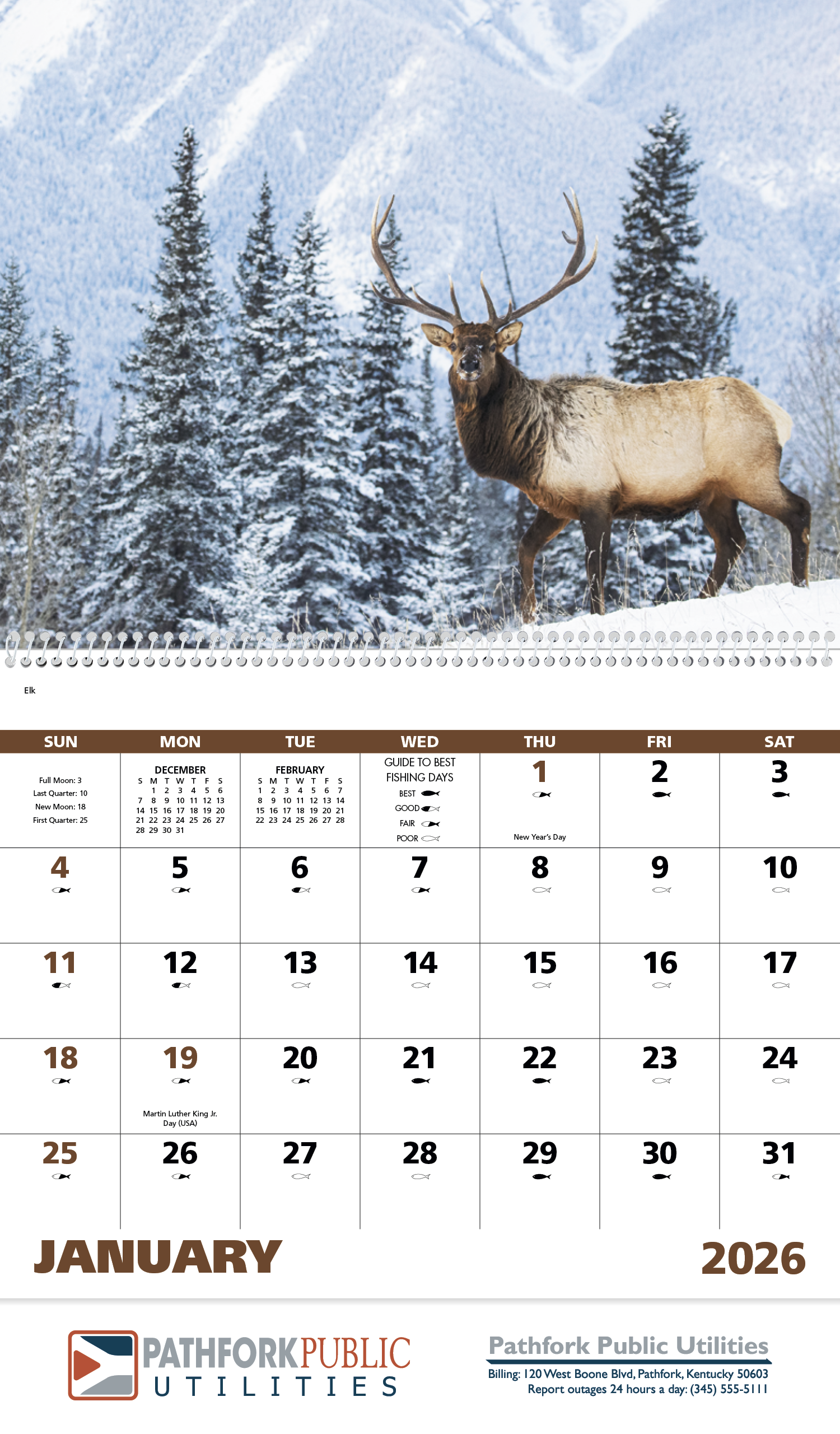 Good Value™ Wildlife Portraits - Spiral Calendar 2