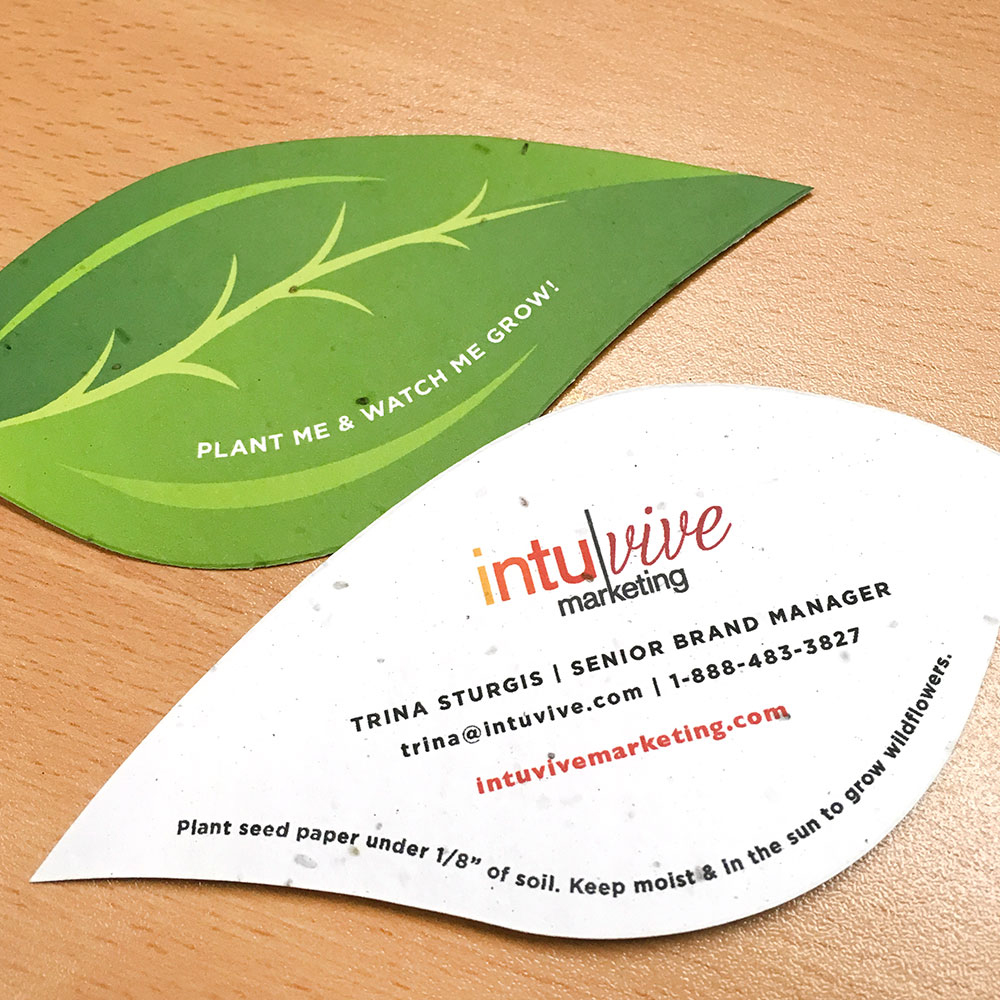 Leaf Shape Seed Paper Business Cards 4