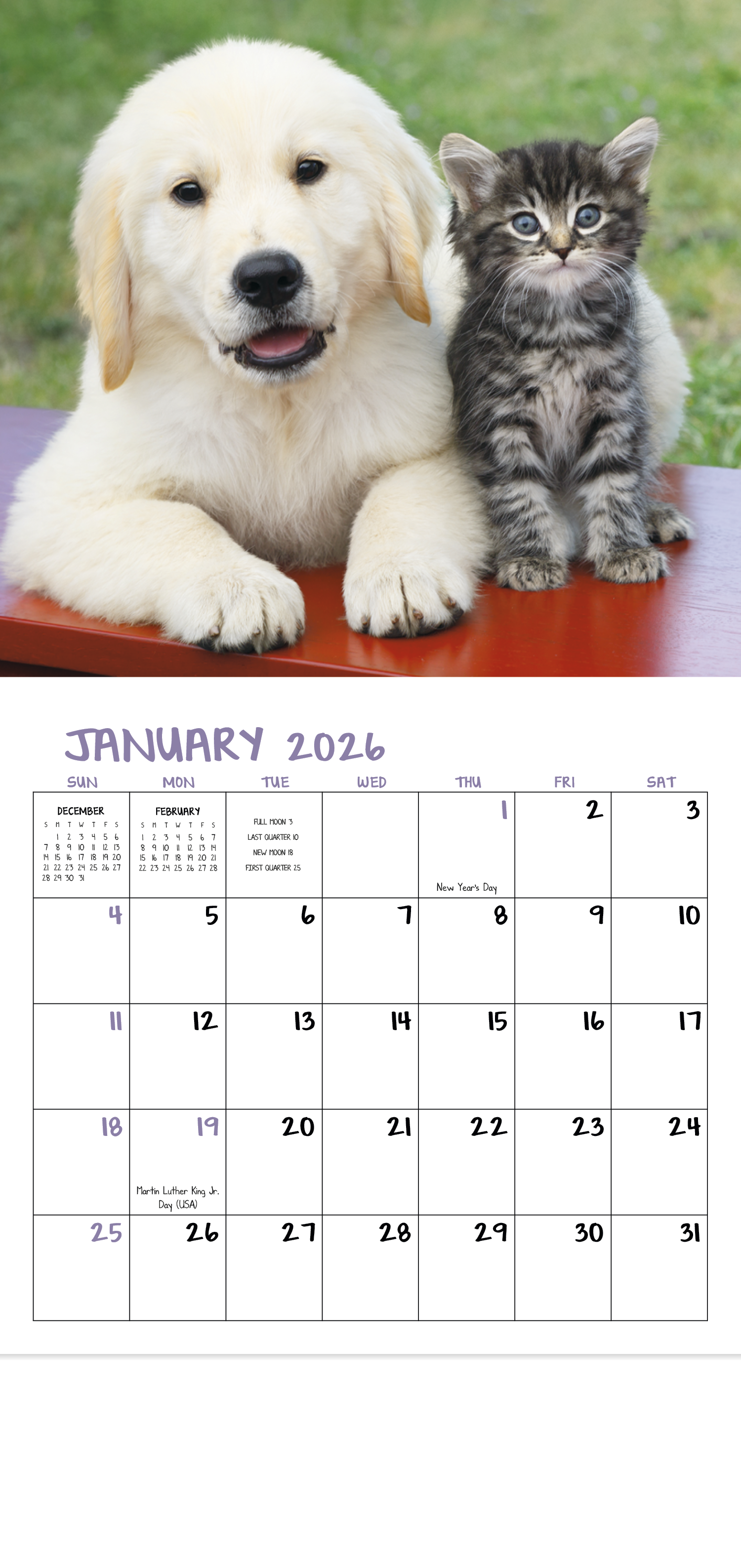 Good Value™ Puppies & Kittens - Mini Calendar 26