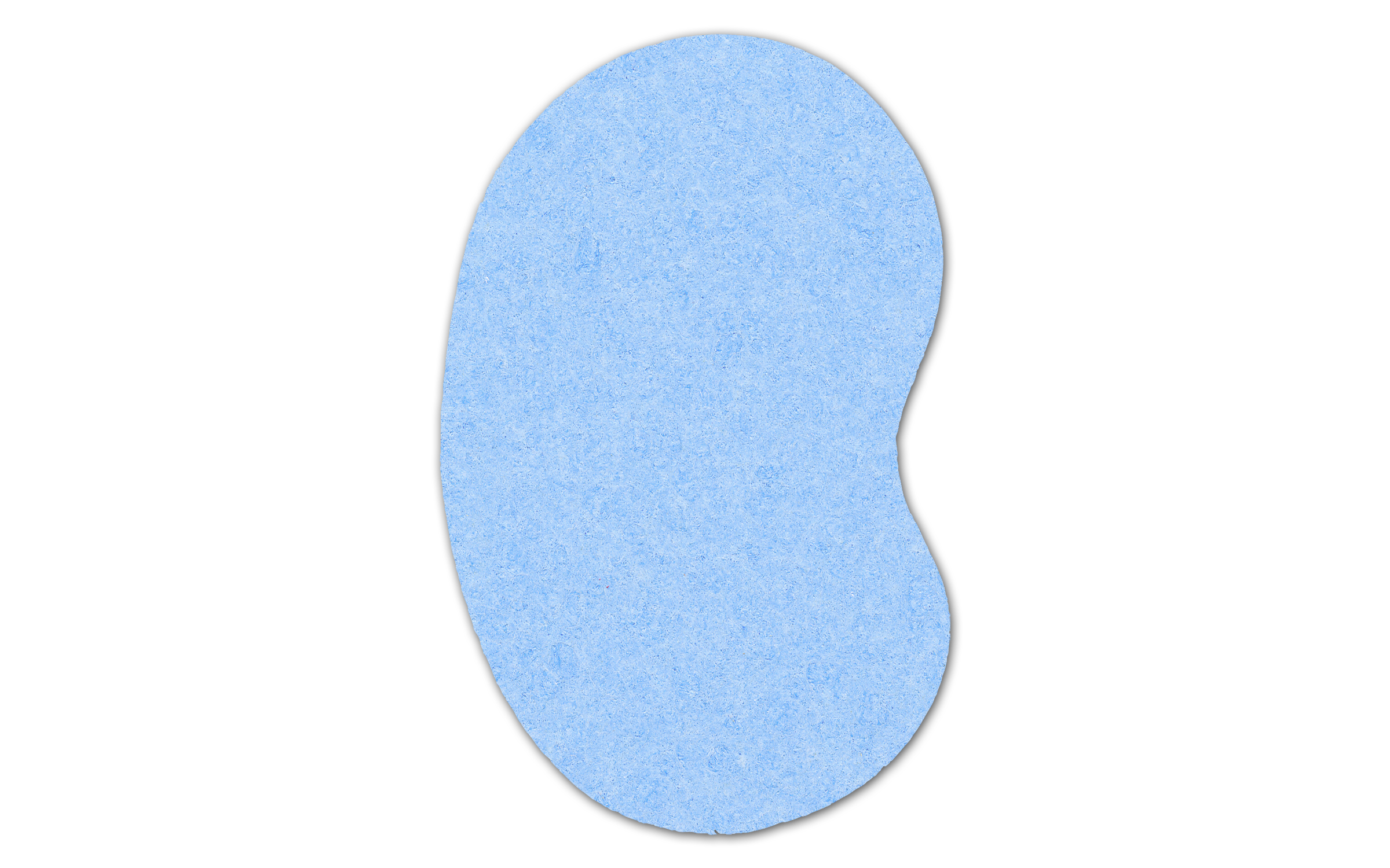 Kidney Compressed Sponge 5