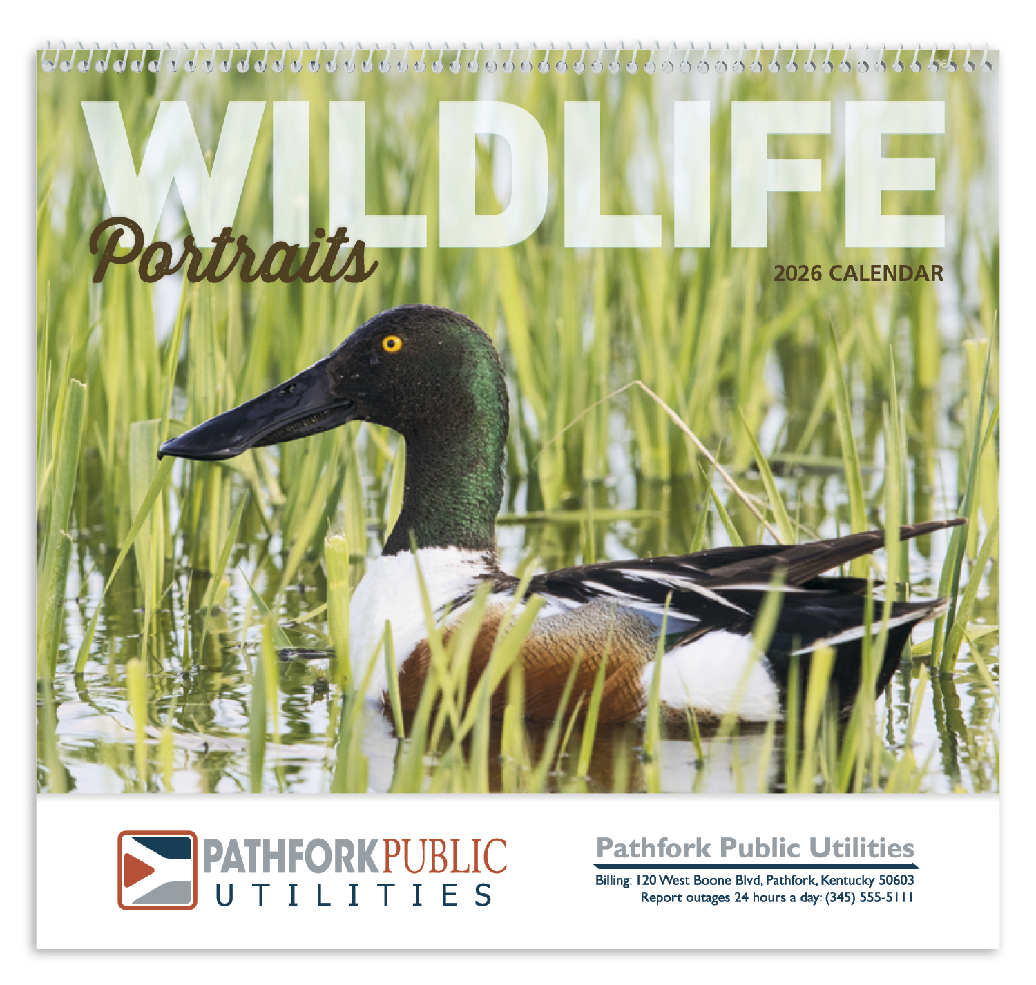 Good Value™ Wildlife Portraits - Spiral Calendar 29