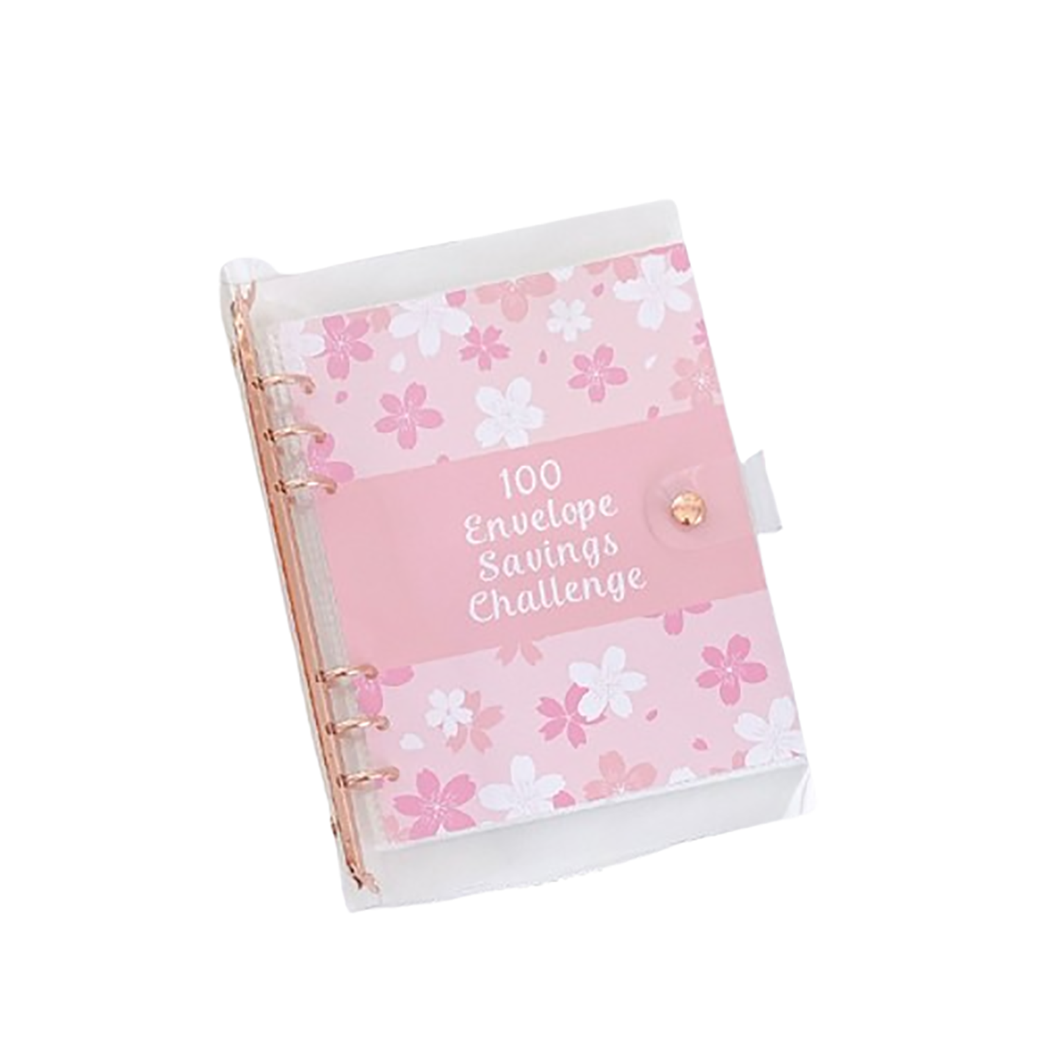 A5 PVC Refillable Money Notebook 4