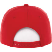 Unisex DOMINATE Ballcap 368