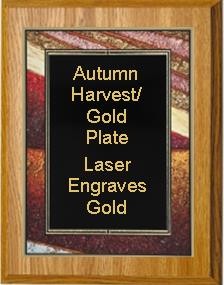 9" x 12" Oak Finish Plaque with an Autumn Harvest Art/Black Plate 2