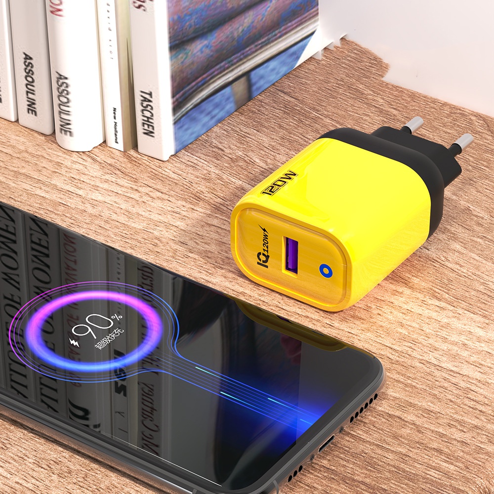 Oval-Shaped USB Wall Charger 1