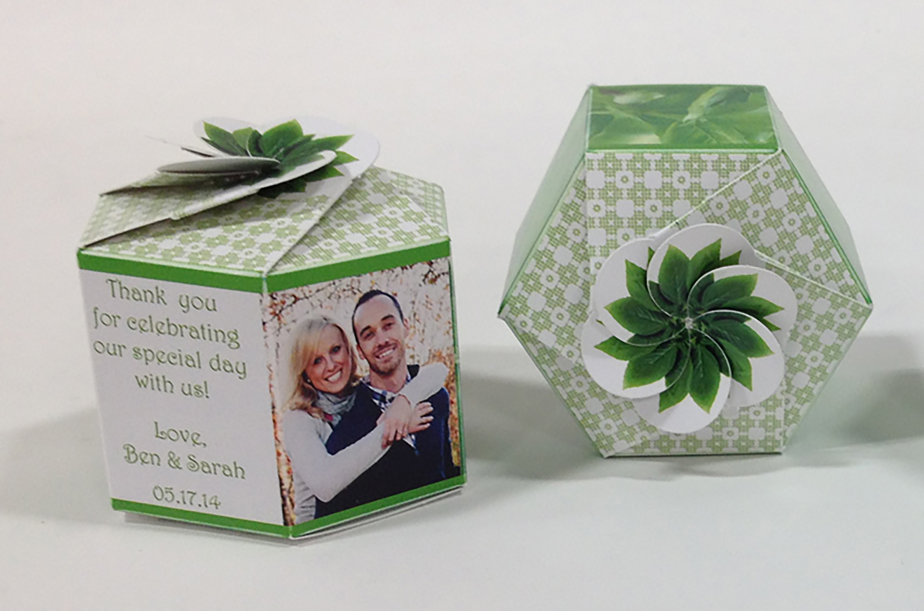 Lettuce 'Gourmet Blend' Certified Organic Seeds - SeedGems Paper Planter - Biodegradable grow kit 3