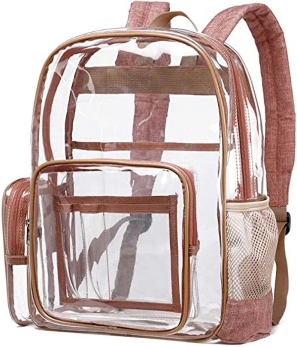 Transparent Backpack 2