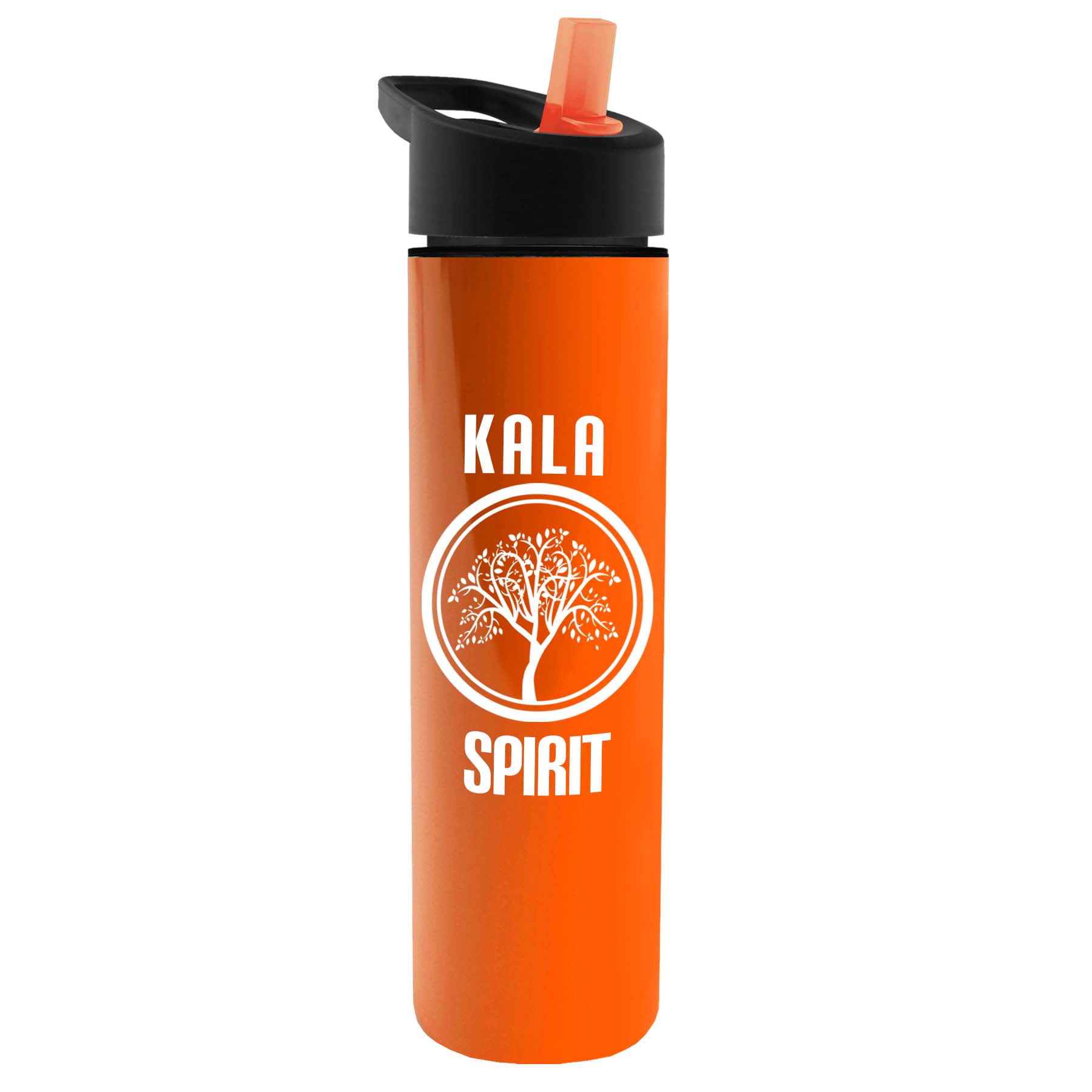 The Chiller - 16 oz. Double Wall Insulated Bottle with Flip Straw 4