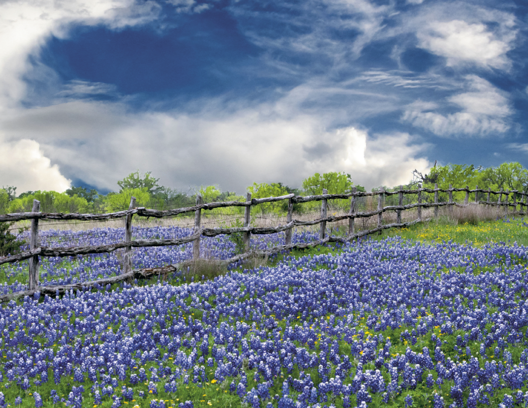 HotLine® Products Texas Appointment Calendar - Stapled 47