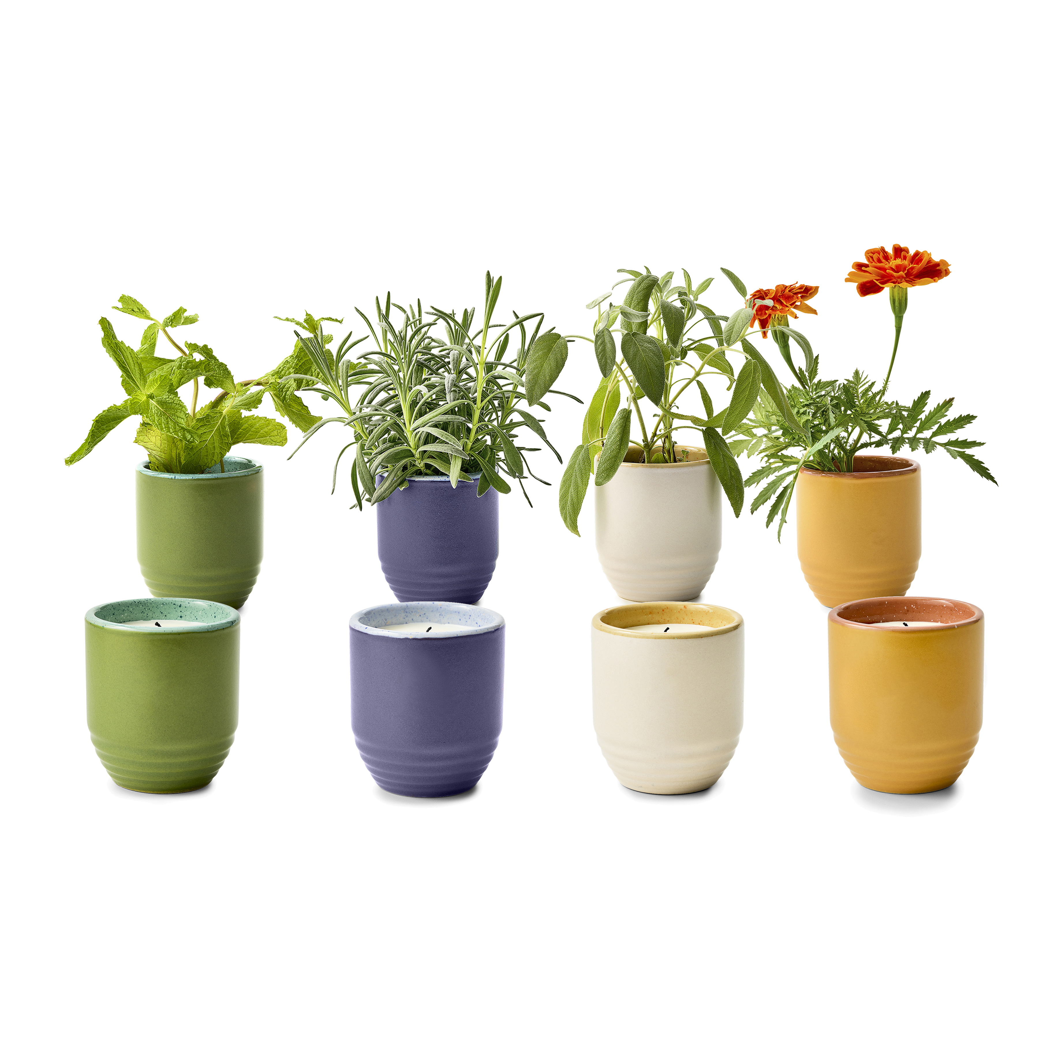 Modern Sprout® Garden Vibes Candle/Planter 39