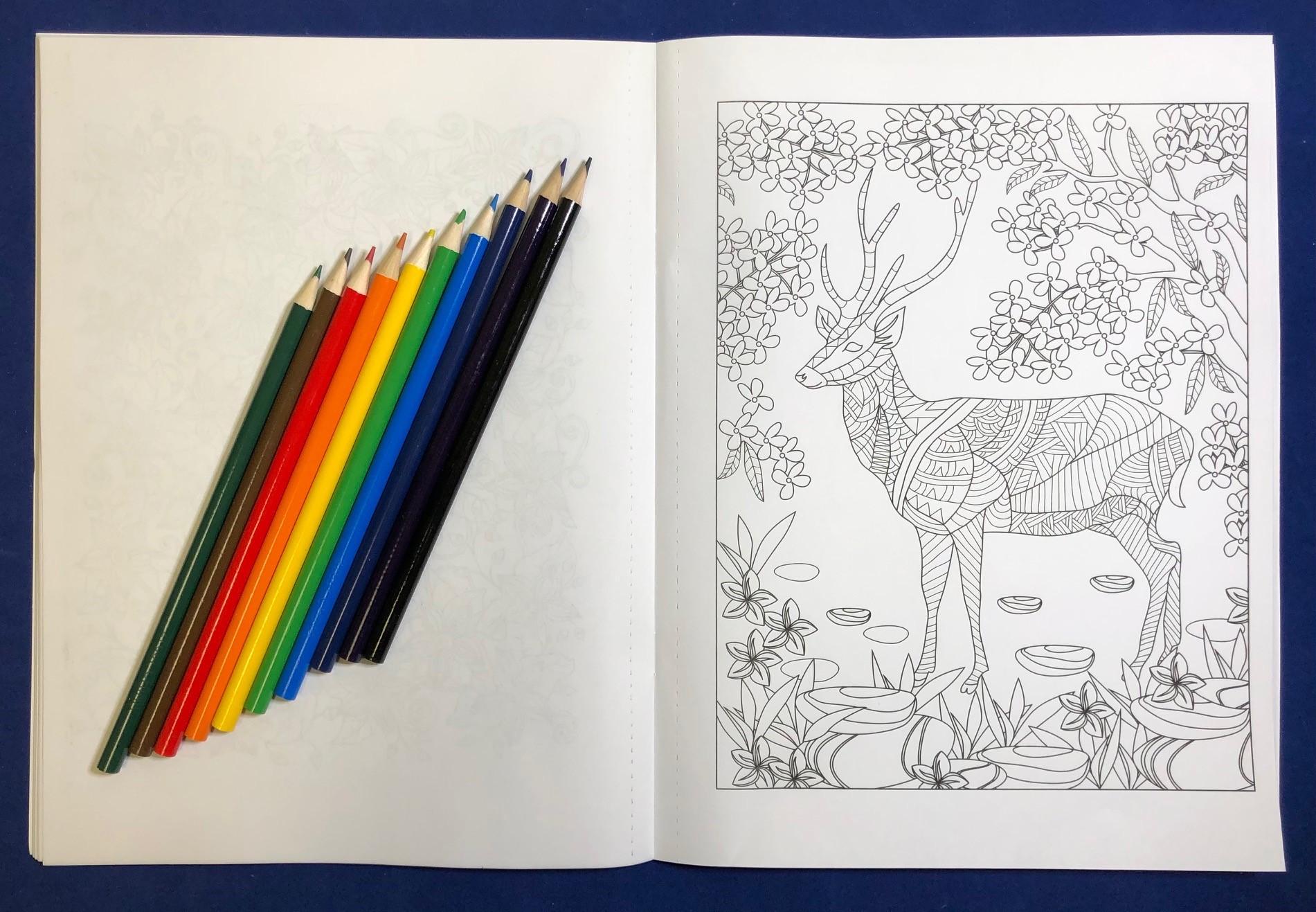 ADULT COLORING RELAX PACK - Nature, Stress Relieving Coloring Book with Colored Pencils Set 2