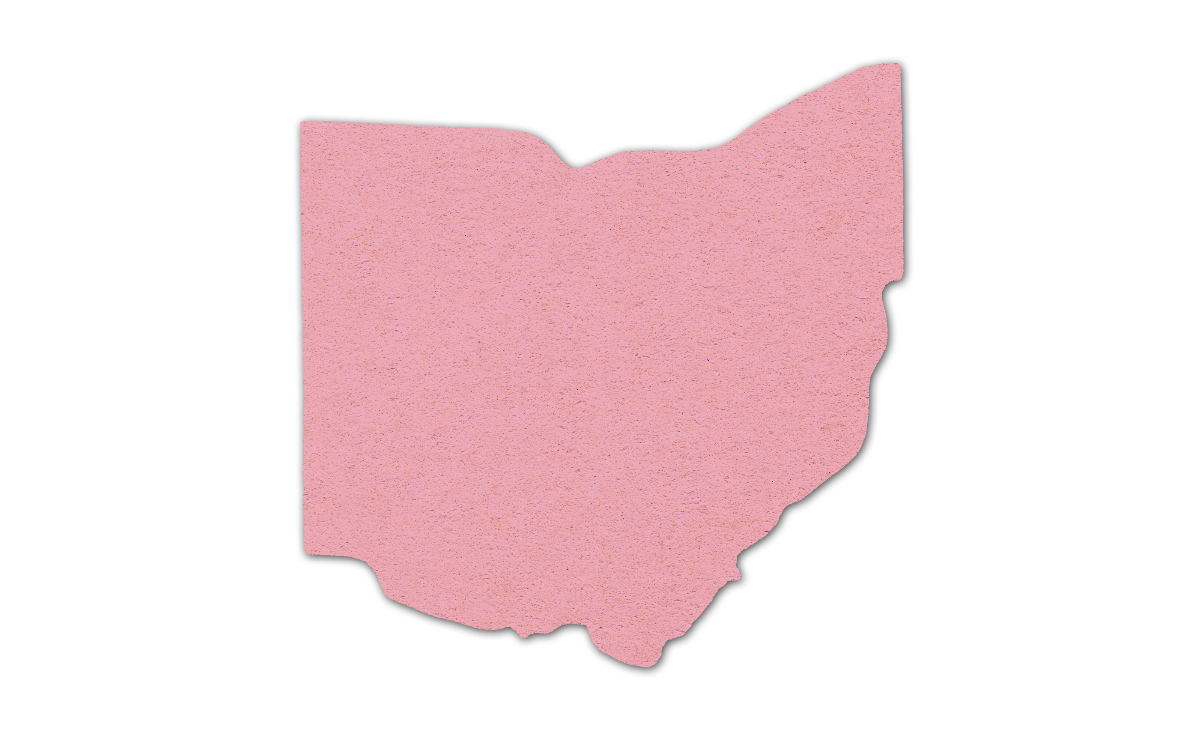 Ohio Compressed Sponge 8