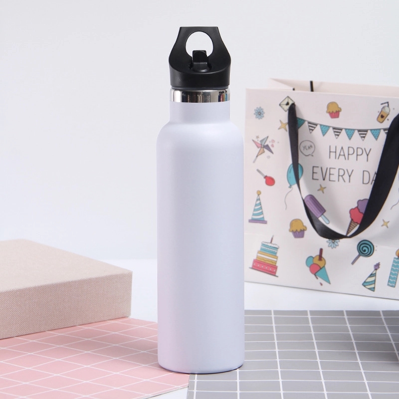 20 oz Stainless Steel Water Bottle w/Straw Lid 6