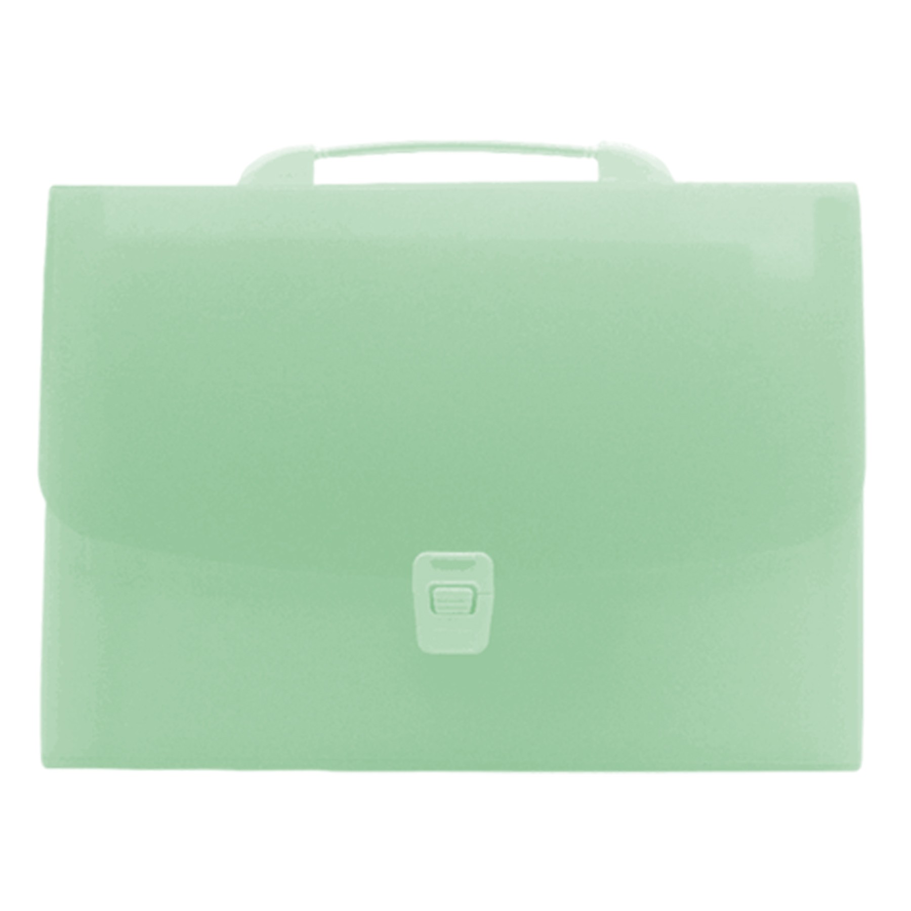 Portable Translucent Folder Bag 2
