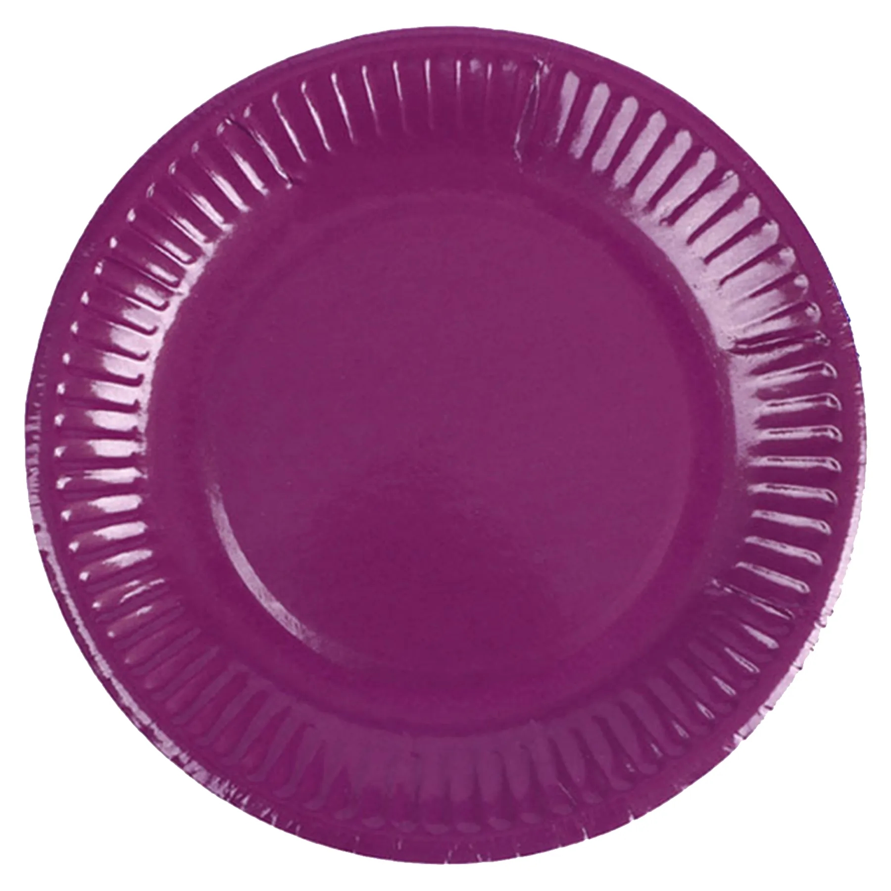 Disposable Colorful Paper Plates 5