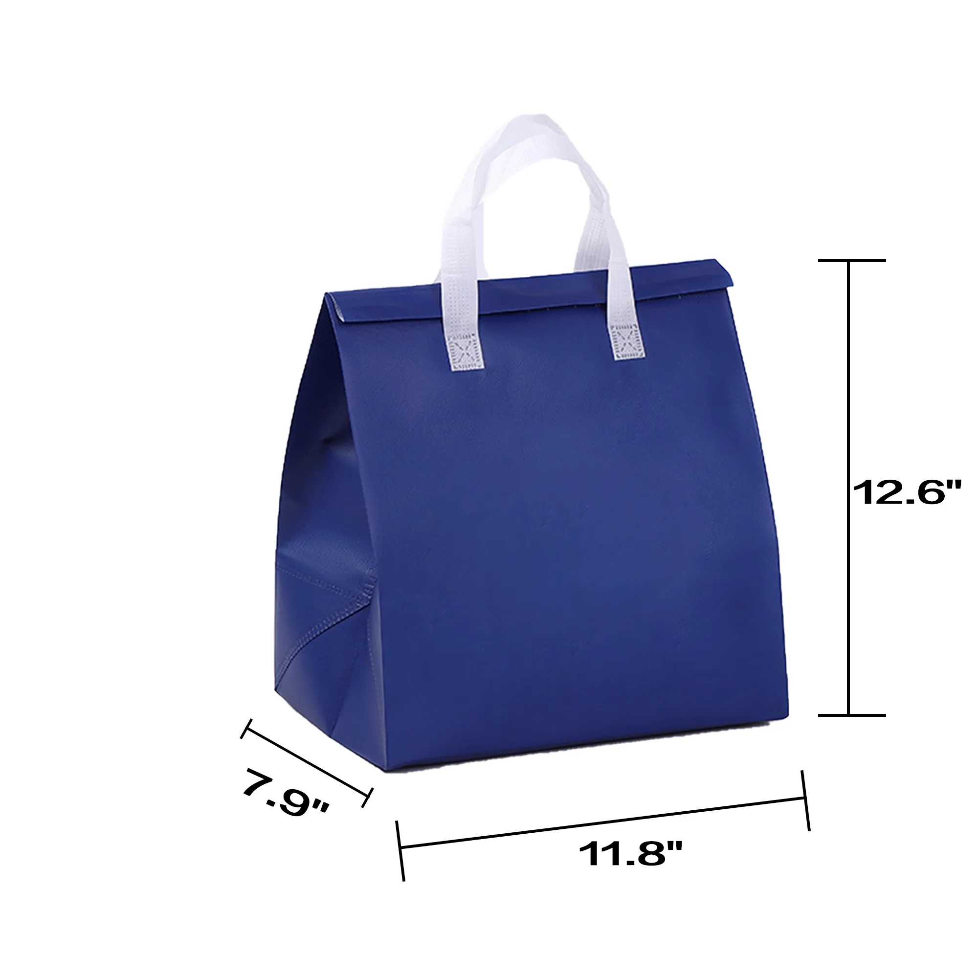 Waterproof Cooler Insulated Tote Bag 2