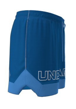 UA Icon Mesh Men's 5 Shorts 4