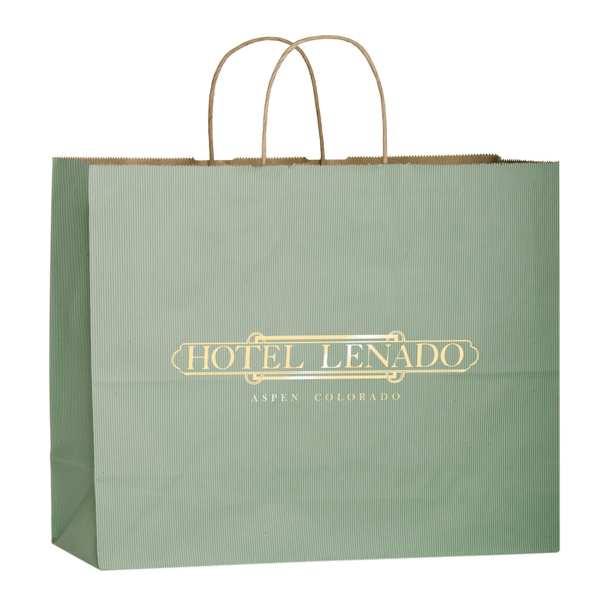 Matte Color Paper Shopper with Twisted Paper Handles 2