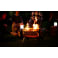 BioLite FirePit + 203