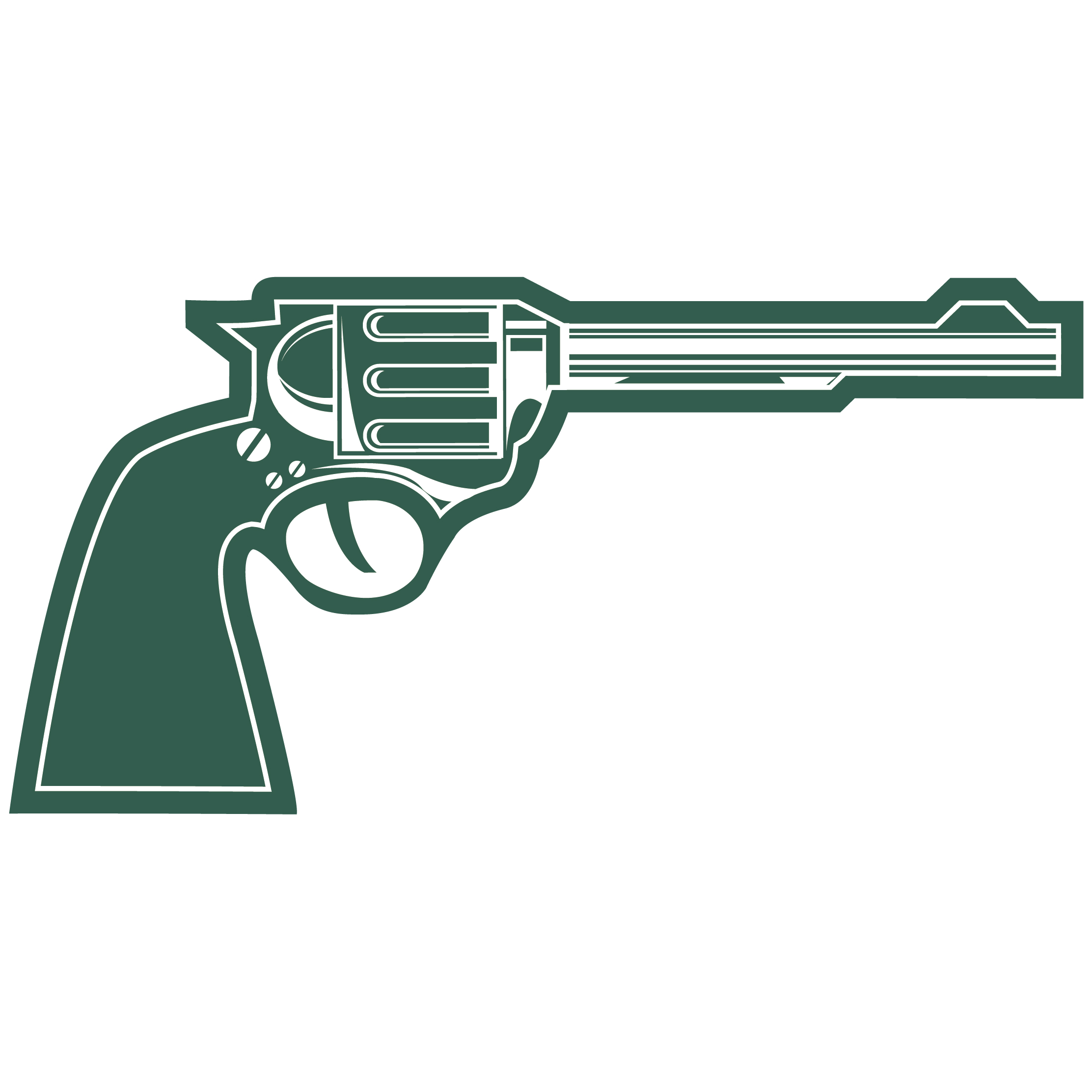 12" Foam Gun 17