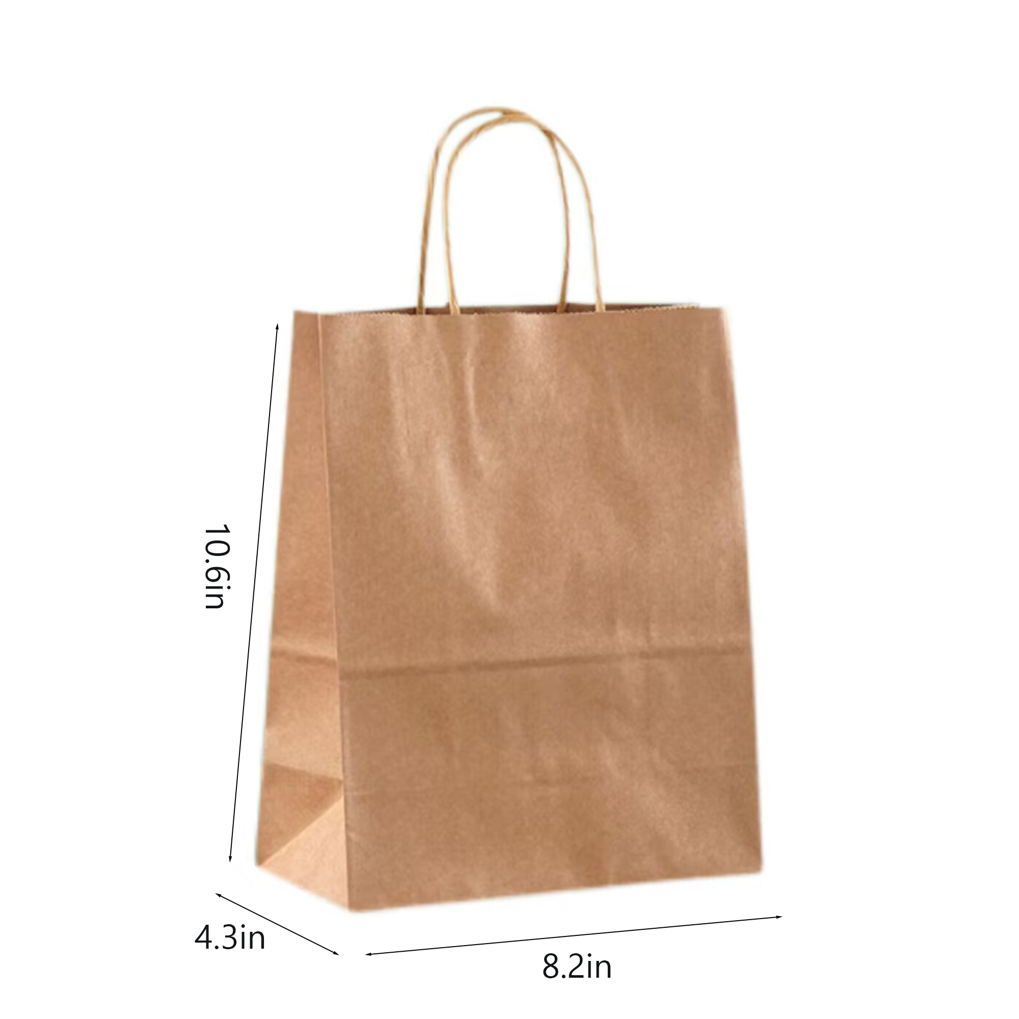 Paper Gift Bag 5