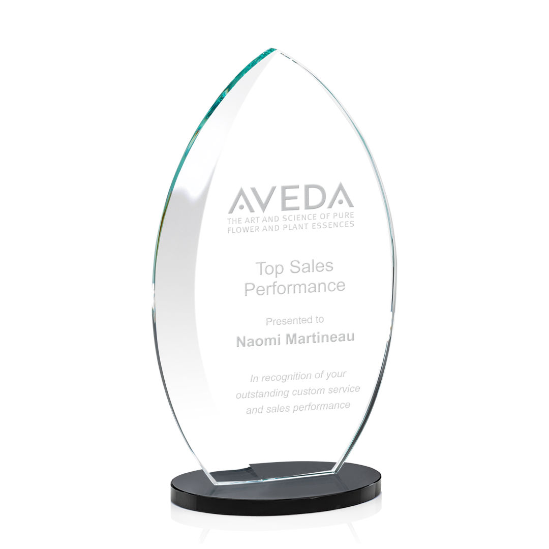 Windermere Award - Black 8