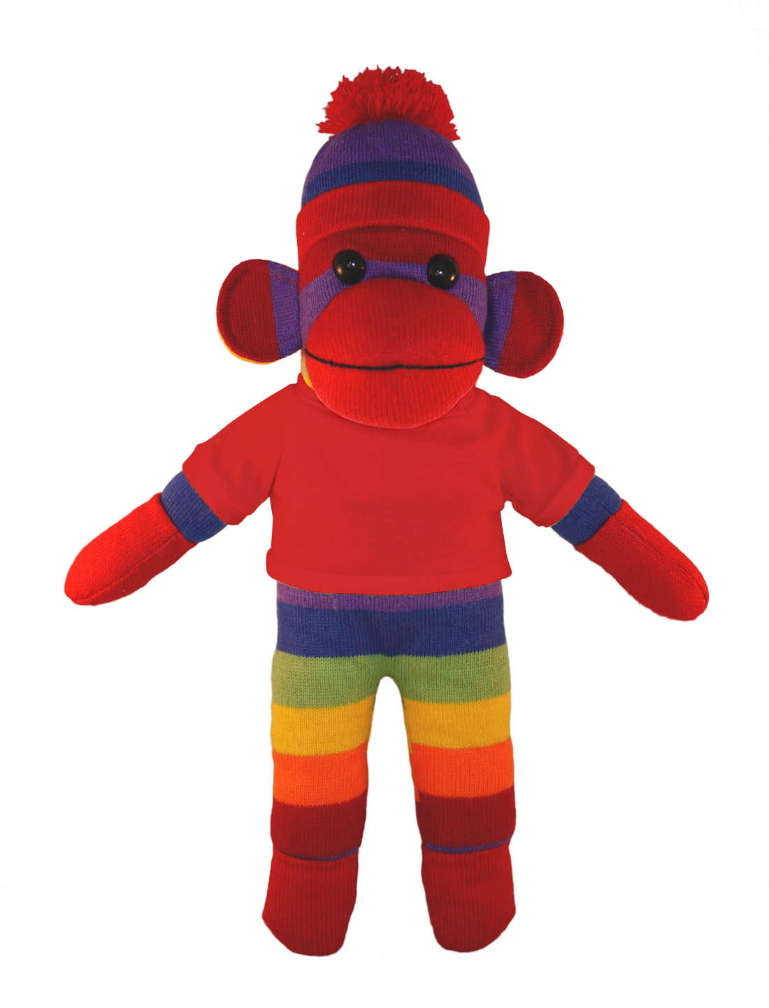 Rainbow Sock Monkey with Tee 20