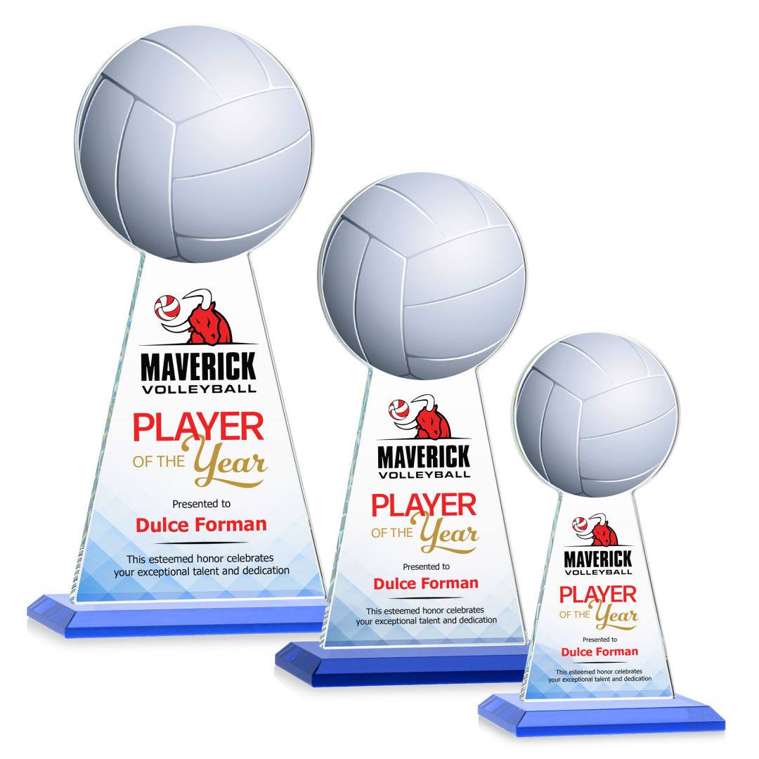 Edenwood Volleyball VividPrint™ Award - Sky Blue