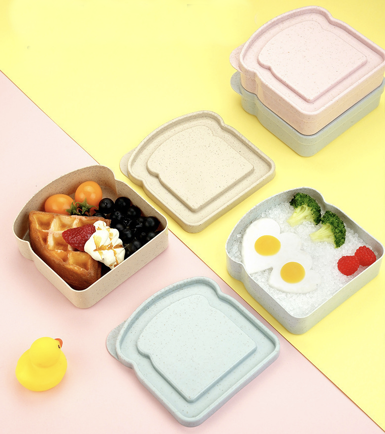 Sandwich Containers for Lunch Boxes 7
