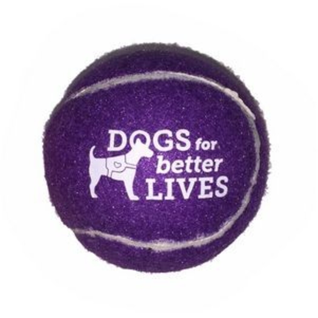Pet Fetch Toy Tennis Ball 1