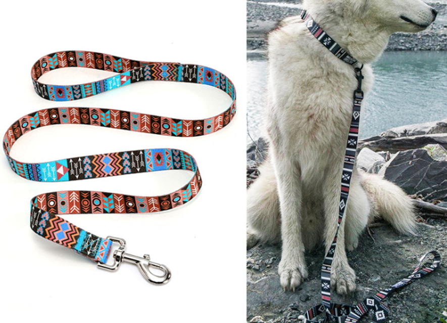 Dog Leash 2