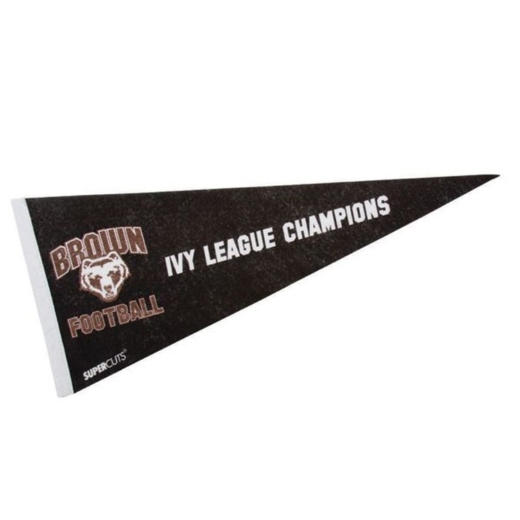 Mini Felt Pennant 2
